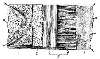Полусхема вырезанной стенки трубкообразного органа с внутренней стороны